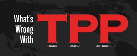 TPP-1 (450x183)